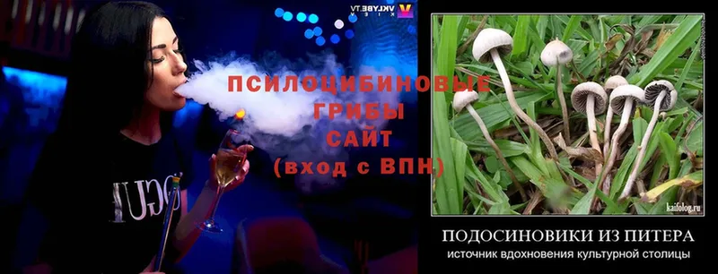 Псилоцибиновые грибы MAGIC MUSHROOMS  Карпинск 